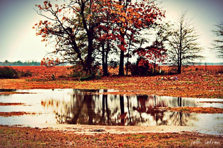 autumnindecemeber_zps0b25899e