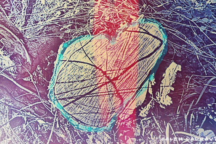 mybeatingstump_zpsef906248