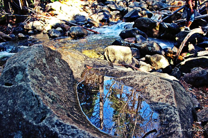 yosemite pond reflection