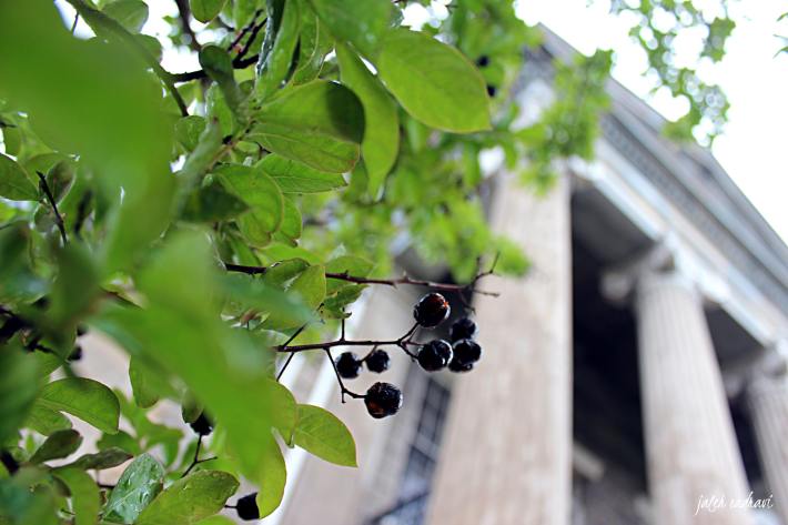 vicksburg jeff davis home