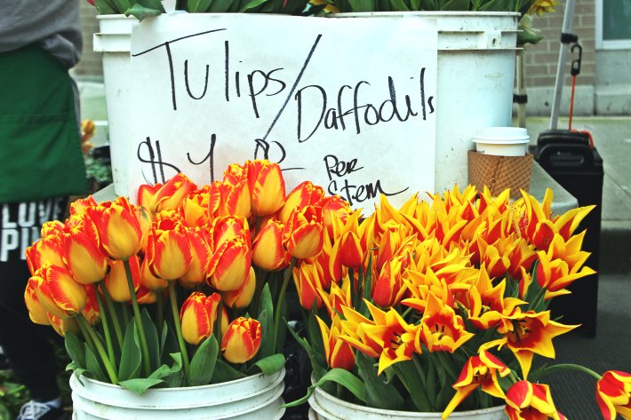 tulips_fremont market