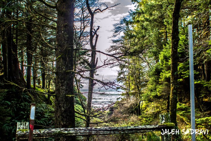 gateway to the water.jpg